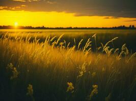 ai generato astratto morbido messa a fuoco tramonto campo paesaggio di giallo fiori e erba prato caldo d'oro ora tramonto Alba volta. tranquillo primavera estate natura avvicinamento e sfocato foresta sfondo. foto