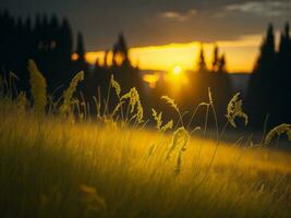 ai generato astratto morbido messa a fuoco tramonto campo paesaggio di giallo fiori e erba prato caldo d'oro ora tramonto Alba volta. tranquillo primavera estate natura avvicinamento e sfocato foresta sfondo. foto