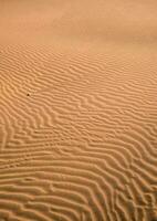 un' solitario roccia nel il sabbia dune di il sahara deserto foto