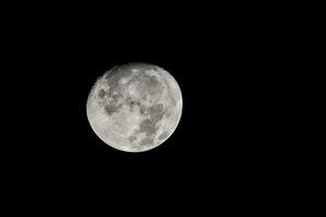 il Luna è visto nel il buio cielo foto