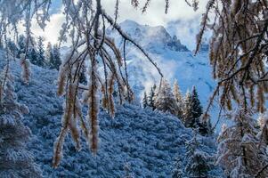 autunno e inverno nel il francese Alpi foto