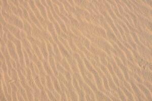 piccolo increspature nel il sabbia duna nel il deserto foto
