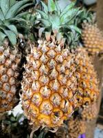 ananas o ananas comosus nel il frutta mercato foto