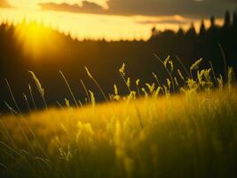 ai generato astratto morbido messa a fuoco tramonto campo paesaggio di giallo fiori e erba prato caldo d'oro ora tramonto Alba volta. tranquillo primavera estate natura avvicinamento e sfocato foresta sfondo. foto