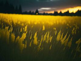 ai generato astratto morbido messa a fuoco tramonto campo paesaggio di giallo fiori e erba prato caldo d'oro ora tramonto Alba volta. tranquillo primavera estate natura avvicinamento e sfocato foresta sfondo. foto