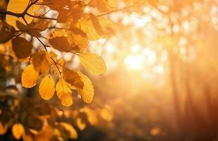 ai generato bellissimo autunno le foglie naturale leggero sfondo, colorato fogliame nel ottobre foto