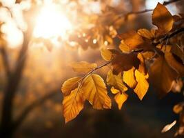 ai generato bellissimo autunno le foglie naturale leggero sfondo, colorato fogliame nel ottobre foto