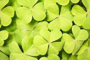 st. Patrick giorno celebrazione, festivo irlandesi vacanza con verde sfondo, concetto di trifoglio tradizione nel marzo Festival foto