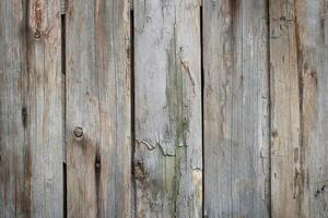 grigio di legno Esposto alle intemperie strutturato sfondo foto