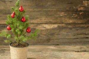 decorato in vaso Natale albero su il di legno sfondo foto