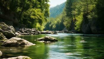 ai generato tranquillo scena verde foresta, fluente acqua, riflettendo luce del sole, naturale bellezza generato di ai foto