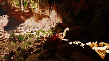 un' grotta pieno con naturale roccia formazioni e lussureggiante vegetazione foto