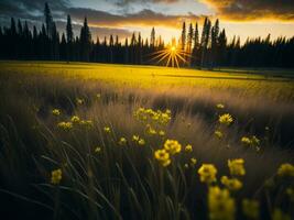 ai generato raggiante i campi di inverno morbido messa a fuoco tramonto prato con giallo fiori della natura abbraccio. un' sinfonia di colori caldo inverno tramonto prato con astratto morbido messa a fuoco natura armonia. foto