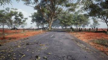 un' panoramico strada con alberi e un' recinto nel il sfondo foto