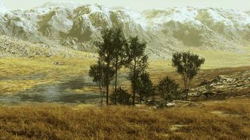 un' panoramico paesaggio con alberi e montagne nel il sfondo foto