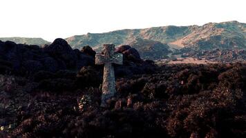 un' solitario attraversare in piedi con orgoglio in mezzo un' maestoso montagna gamma foto