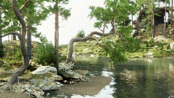 un' sereno fiume paesaggio con lussureggiante alberi foto