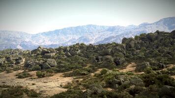 un' panoramico montagna gamma con torreggiante alberi nel il primo piano foto