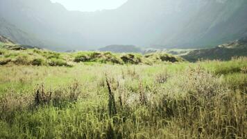 sorprendente tiro di un' roccioso paesaggio parzialmente coperto con erba nel un' nebbia foto