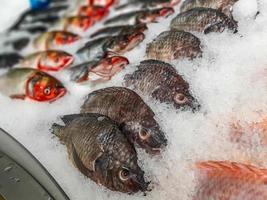 chiudere il pesce fresco crudo che si raffredda sul ghiaccio nel mercato dei frutti di mare in stallo foto