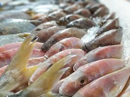 chiudere il pesce fresco crudo che si raffredda sul ghiaccio nel mercato dei frutti di mare in stallo foto