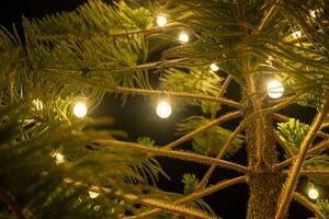 vicino su di fuoco palle su Natale albero su sfocato sfondo. nuovo anno concetto. foto