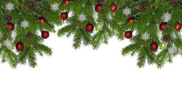 Natale ramo di un' naturale albero con rosso palle su un' bianca sfondo avvicinamento. isolato foto