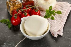 italiano formaggio Mozzarella bufalo palla foto