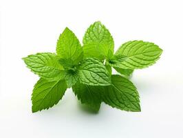 ai generato menta foglia. fresco menta su bianca sfondo. menta le foglie isolato. pieno profondità di campo. foto