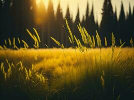 ai generato raggiante i campi di inverno morbido messa a fuoco tramonto prato con giallo fiori della natura abbraccio. un' sinfonia di colori caldo inverno tramonto prato con astratto morbido messa a fuoco natura armonia. foto