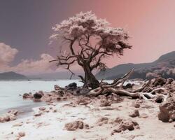 un infrarosso Immagine di un' albero su il spiaggia generativo ai foto