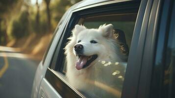 ai generato contento cane avendo divertimento con testa su di il auto finestra foto