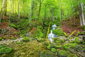 verde foresta torrente, ruscello di il Alpi montagne. bellissimo acqua fluire, soleggiato colorato muschioso rocce natura paesaggio. sorprendente tranquillo, calmo e rilassante montagna natura scena, primavera estate avventura viaggio foto