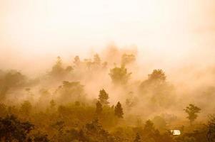 bellissimo paesaggio alba natura sfondo montagne e cielo color oro foto