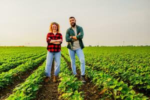 famiglia agricolo occupazione. uomo e donna siamo coltivando soia. essi siamo soddisfatto con bene progresso di impianti. foto