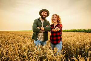 famiglia agricolo occupazione. uomo e donna siamo coltivando Grano. essi siamo soddisfatto con bene progresso di impianti. foto