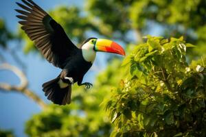 ai generato esotico selvaggio verde natura giallo rosso animale foresta tropicale giungla natura becco uccelli foto