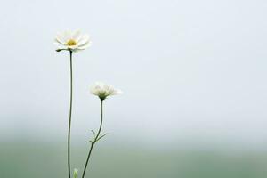 ai generato natura floreale bellezza prato fiorire flora giardino erba fioritura fiore giallo estate foto