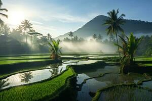 ai generato viaggio risaia tropicale piantagione bali agricoltura verde montagna pianta bellissimo foto