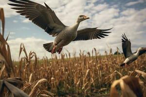 ai generato all'aperto natura Oca natura uccelli acquatici fauna bianca volo piuma orizzontale animali foto