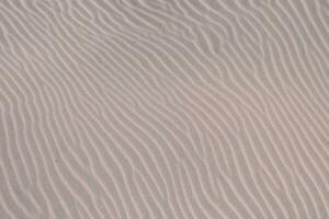 un' sabbia duna con increspature foto