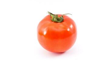 rosso maturo pomodori isolato su bianca sfondo foto