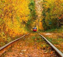 autunno foresta attraverso quale un vecchio tram cavalcate Ucraina foto