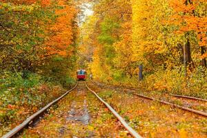 autunno foresta attraverso quale un vecchio tram cavalcate Ucraina foto