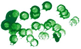 disegnato puntini con acrilico verde dipingere su un' bianca isolato sfondo foto