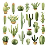 ai generato il cactus impostato su bianca sfondo. clipart illustrazioni. ai generato foto