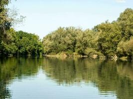 un' fiume con alberi foto