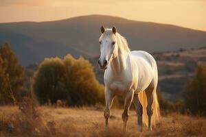 ai generato bianca cavallo o cavalla nel il montagne a tramonto. ai generato foto