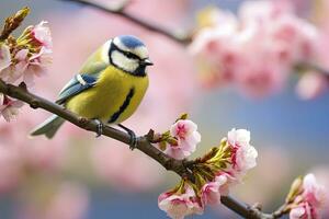 ai generato un' bluetit uccello riposo su il ramo. eurasiatico blu tetta foto