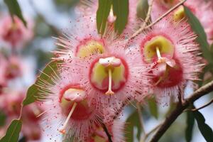 ai generato bellissimo gomma albero rosa fiori e mini cuffie. ai generato foto